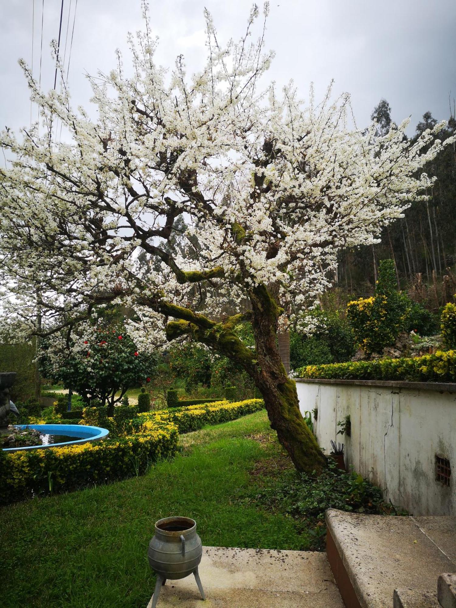 Quinta Das Aguias Авейру Экстерьер фото