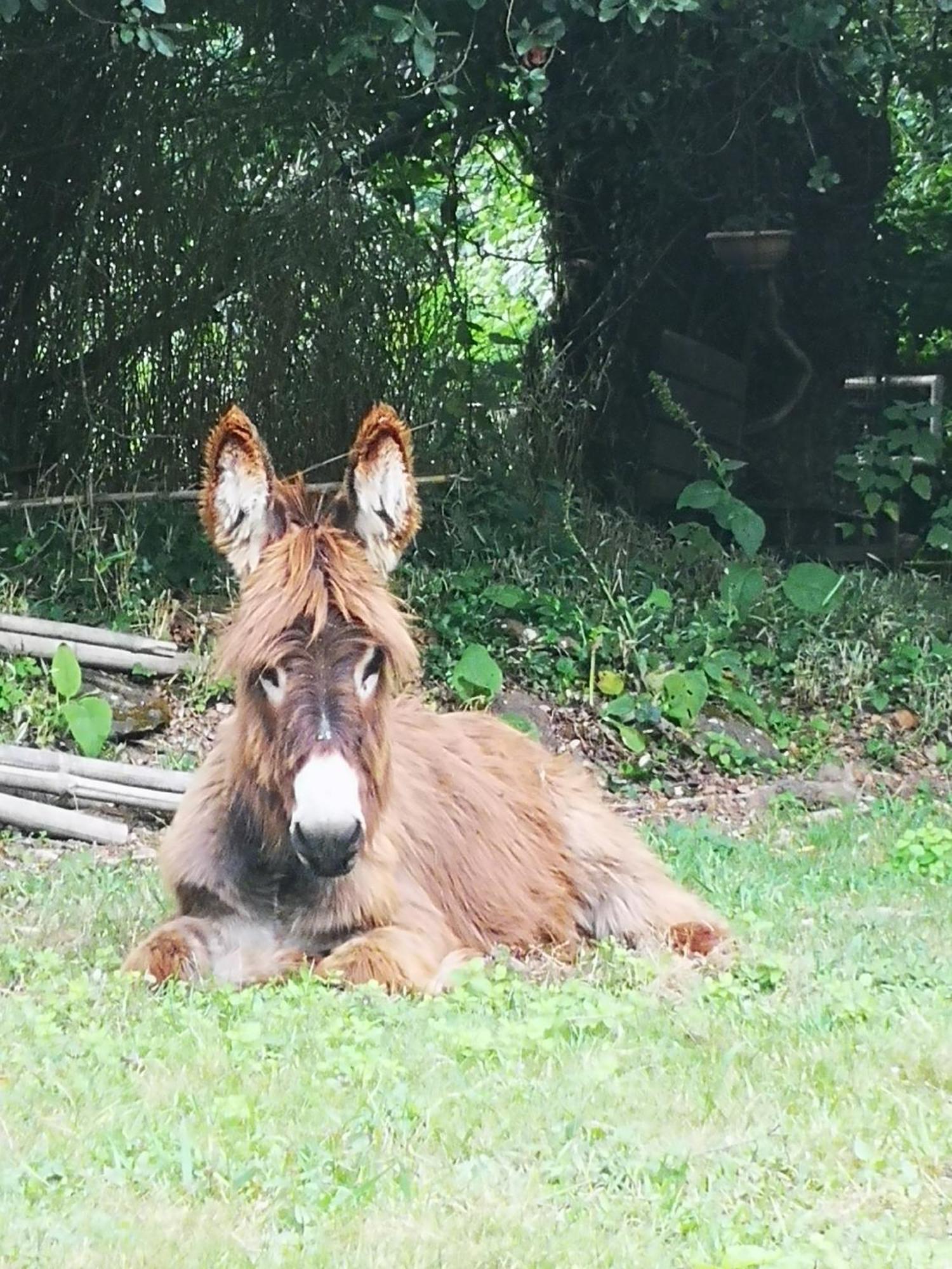 Quinta Das Aguias Авейру Экстерьер фото