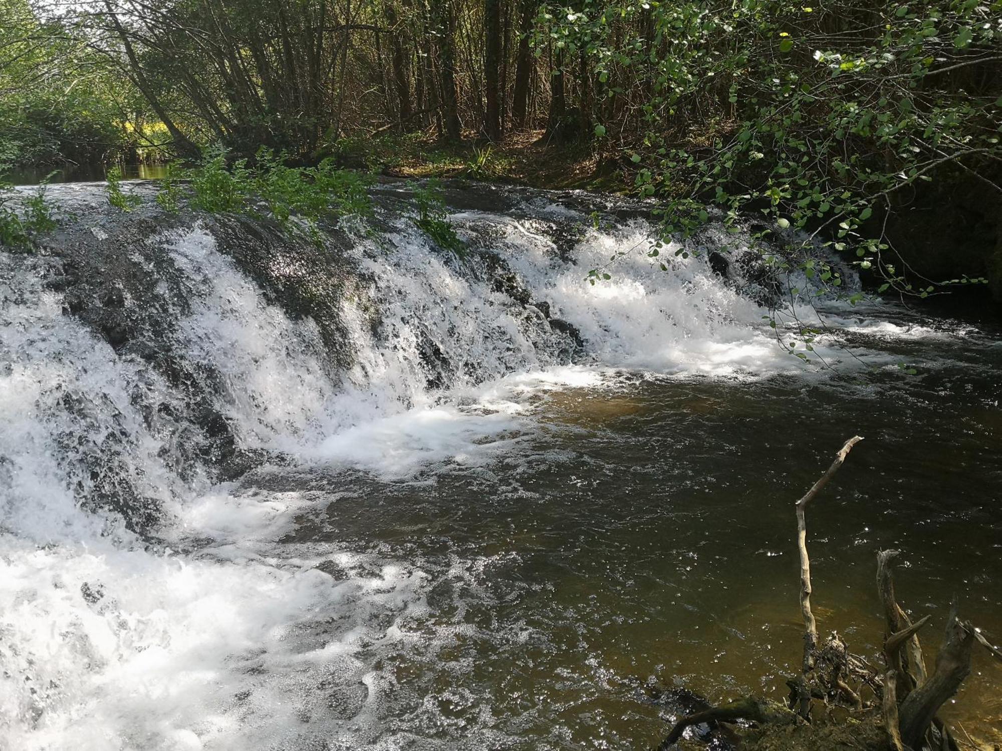 Quinta Das Aguias Авейру Экстерьер фото