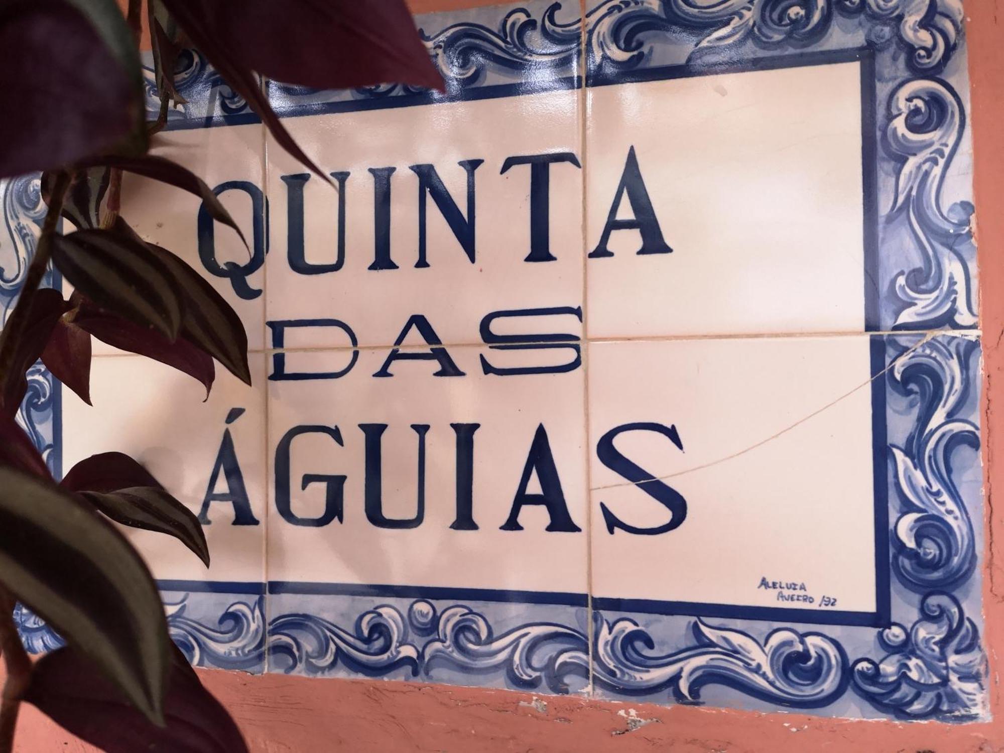 Quinta Das Aguias Авейру Экстерьер фото