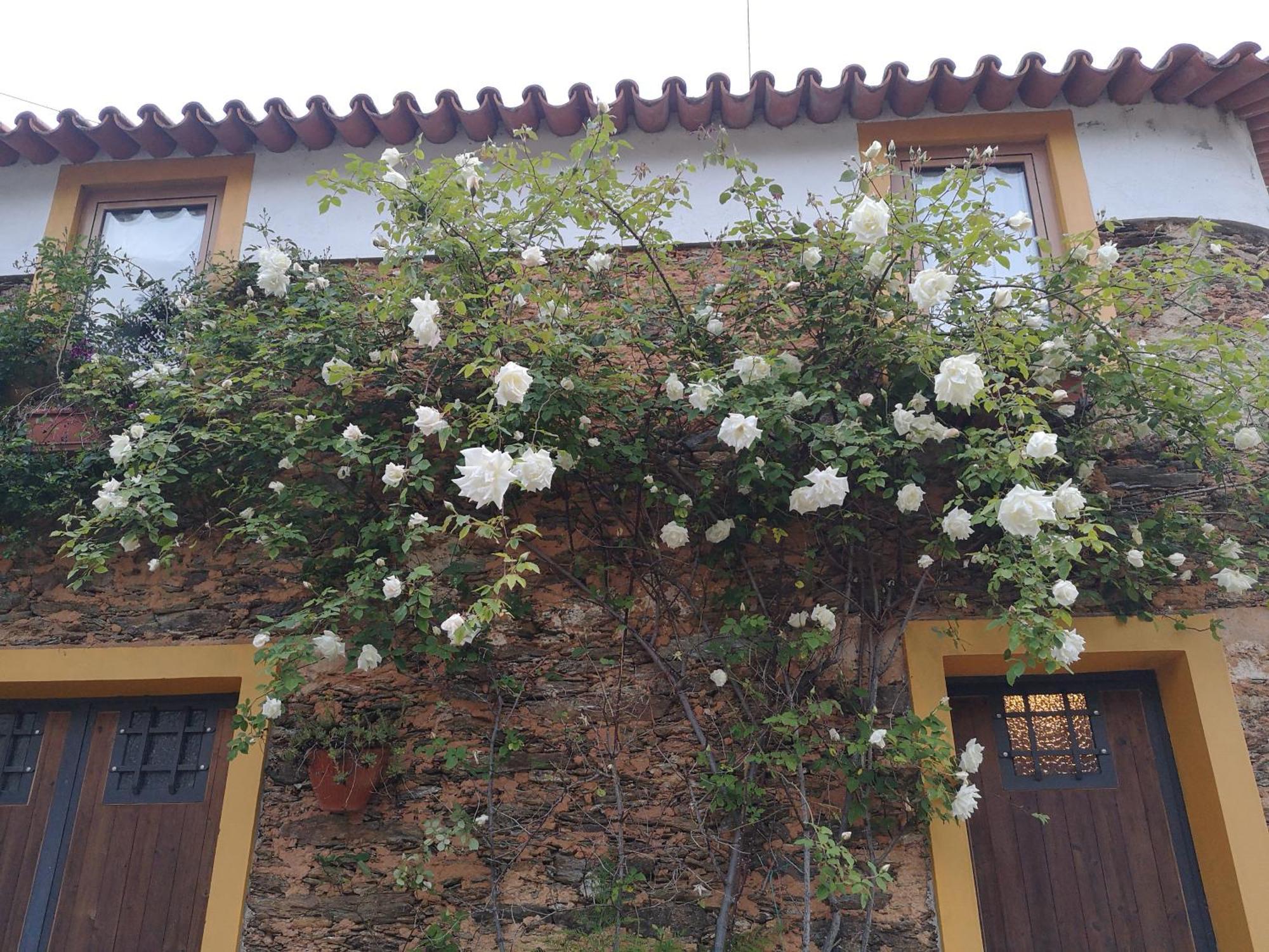 Quinta Das Aguias Авейру Экстерьер фото